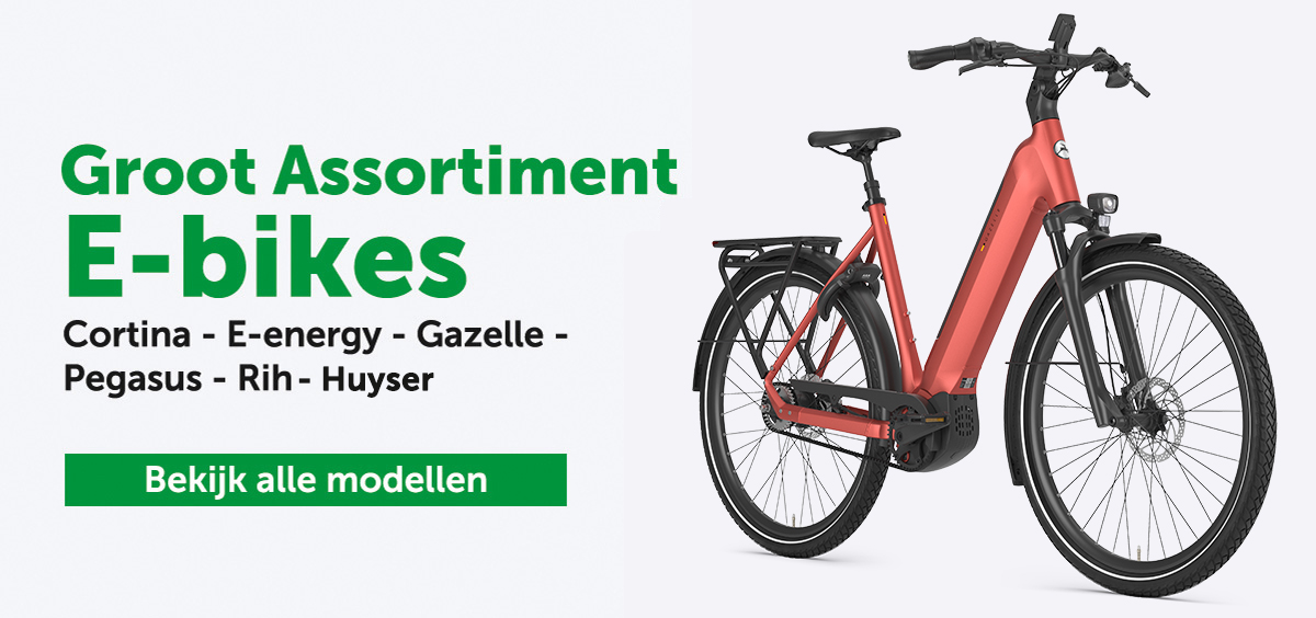 E-bikes