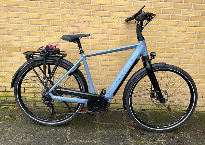 Gazelle Chamonix T10 Heren Blue