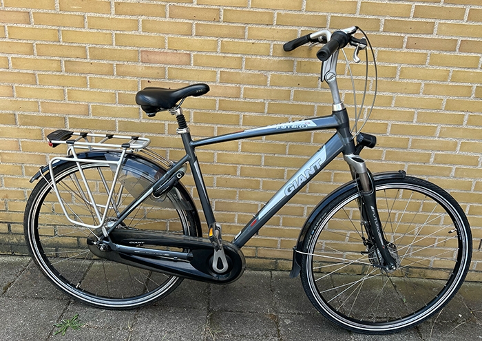 Giant Futuro Heren Grey