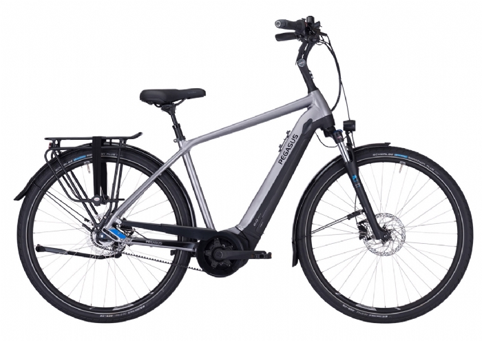 Pegasus Ravenna EVO 5 Heren Silver black 