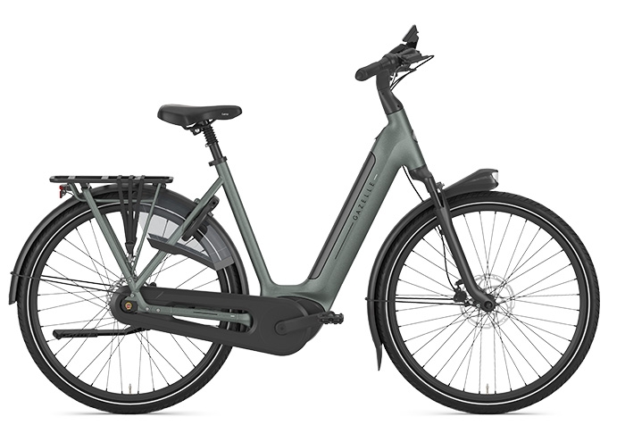 Gazelle Grenoble C8+ HMB Dames Twilight Green Mat