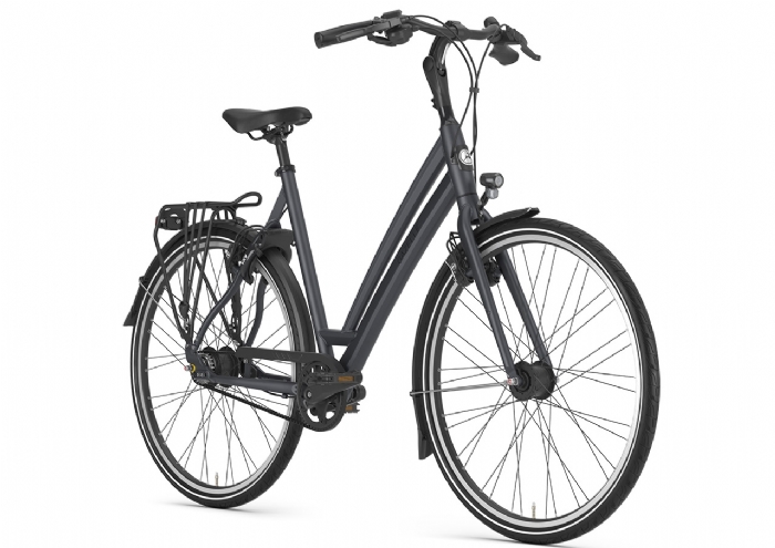 Gazelle Chamonix S8 Dames Meteor Grey Mat