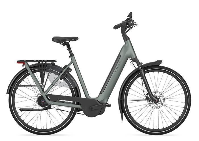 Gazelle Grenoble C5+ HMB First Edition Dames Twilight Green Mat
