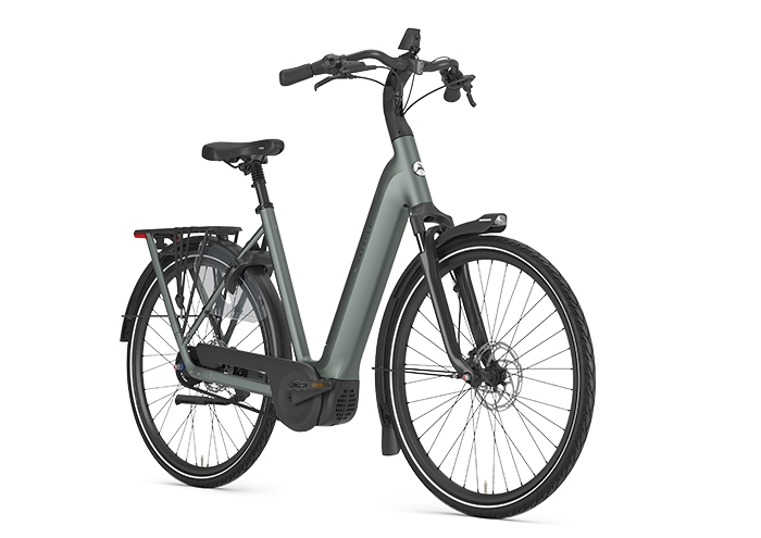 Gazelle Grenoble C5+ HMB First Edition Dames Twilight Green Mat