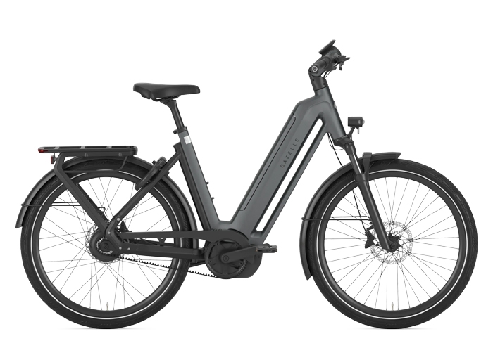 Gazelle Eclipse C380 HMB Dames Anthracite Grey mat 