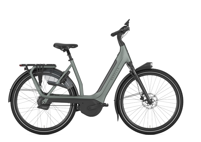 Gazelle Avignon C380+ HMB Dames Twilight Green Mat