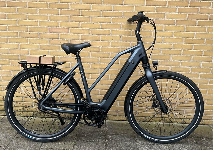 Van Dijck Kalii Dames Grey mat