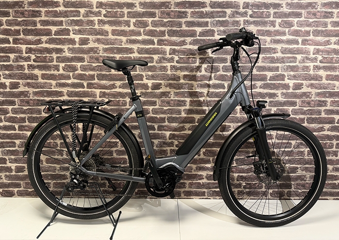 Winora IX10 Dames grey